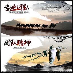 公司画册图片